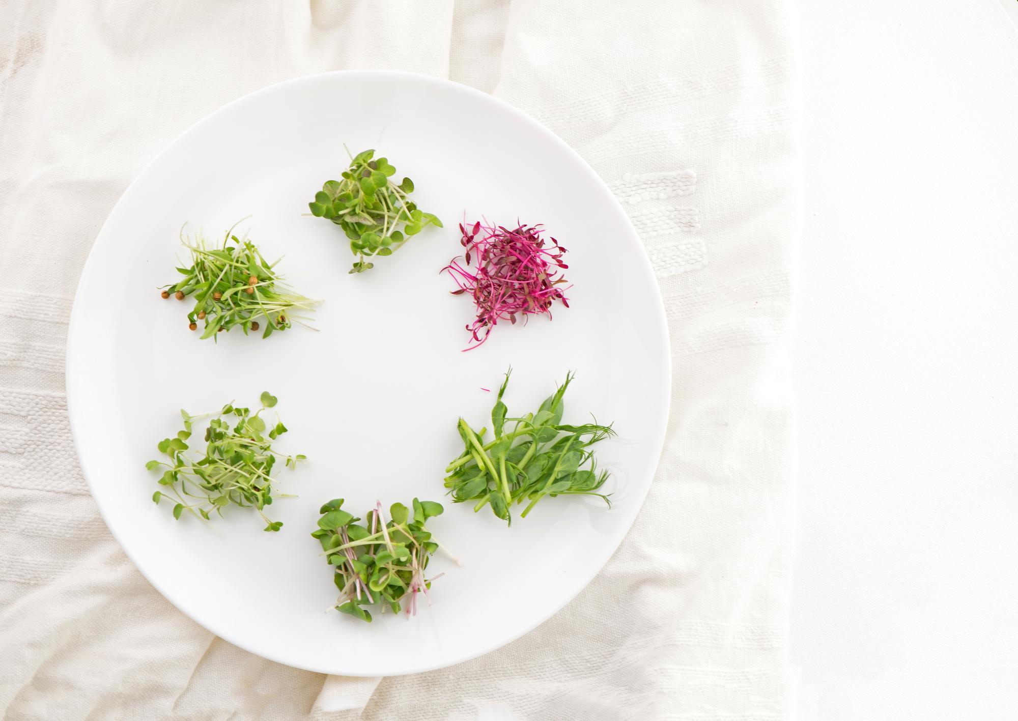 Plated starter with microgreens and broth drop